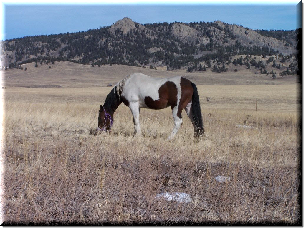 Esther Grazing